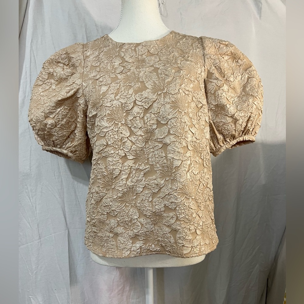 Endless rose puffy short sleeve top